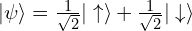 |\psi\rangle = \frac{1}{\sqrt{2}}|\uparrow\rangle+\frac{1}{\sqrt{2}}|\downarrow\rangle